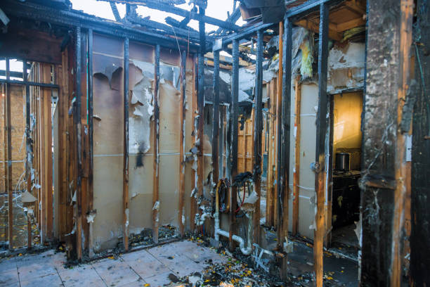 Professional Fire Damage Assessment technician working in Canyon Day, AZ